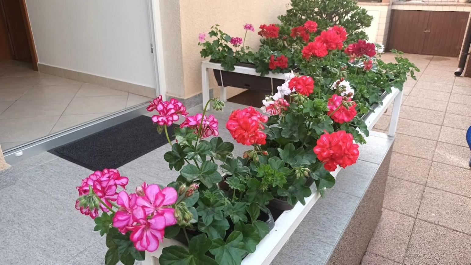 Marelja - Private Parking And Balcony Apartament Zadar